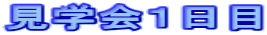 wP 